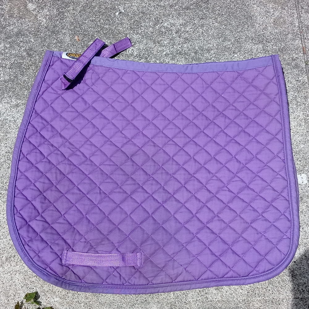 Horse dressage pad
